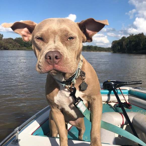 Meet your Posher, Jen - Picture 1 of 12